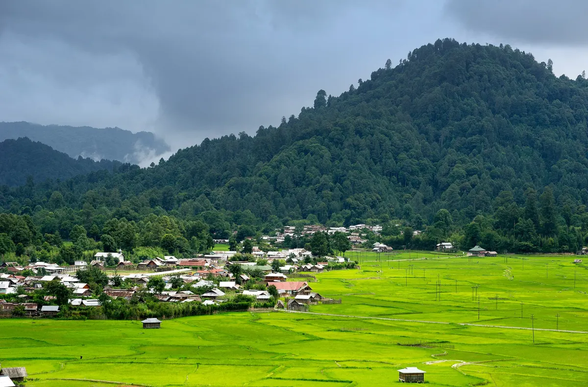 Rice fields and hills of Ziro Valley